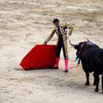 Bullfight Madrid (Spain)