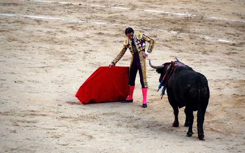 You are currently viewing Bullfight Madrid (Spain)
